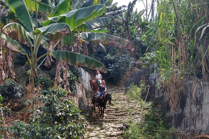 Horseback Riding Adventure from Medellin - The Sum Up