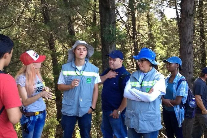 Private Tour: La Miel Magnificent Natural Reserve Hike - Price and Value: Is It Worth It?