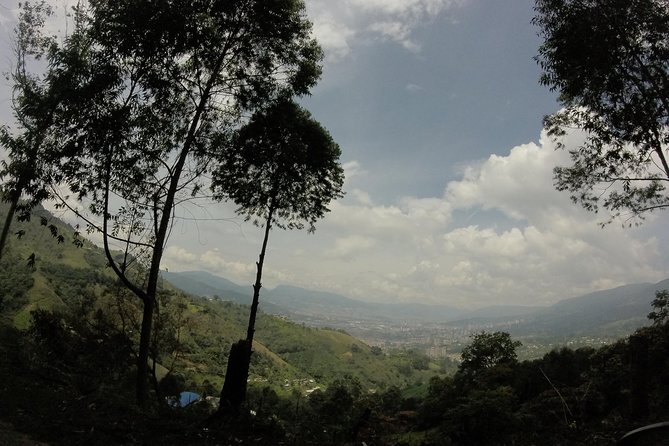 Private Tour: La Miel Magnificent Natural Reserve Hike - Frequently Asked Questions (FAQs)