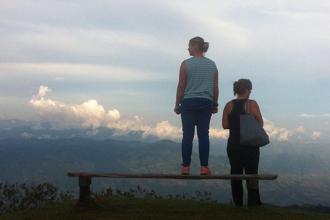 Express half day Coffee Tour - Who Should Consider This Tour?