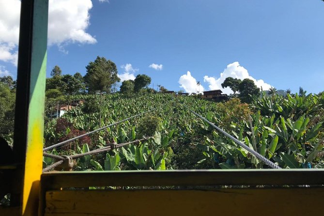 Express half day Coffee Tour - A Few Considerations