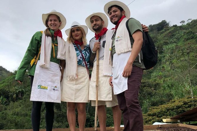 Express half day Coffee Tour - Final Thoughts: Is It Worth It?