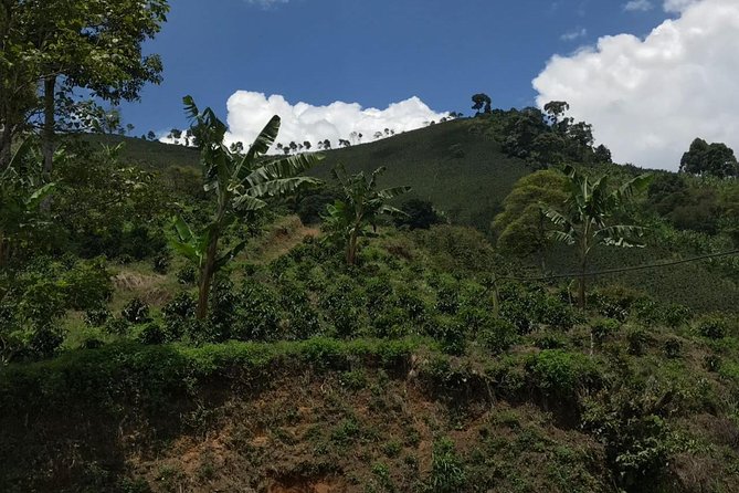 Express half day Coffee Tour - FAQ