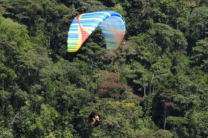 PARAGLIDING over Guacaica Jungle Private experience from Guatape - Key Points
