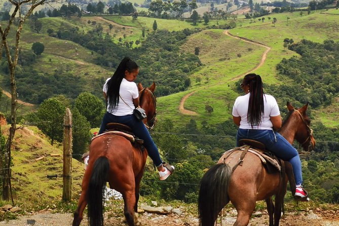 Horseback Riding in Medellin Private Tour: Great Views & Horses - An In-Depth Look at the Experience