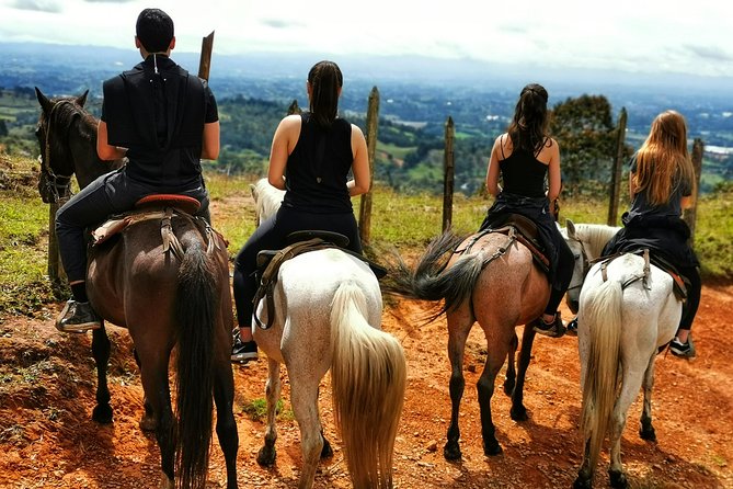 Horseback Riding in Medellin Private Tour: Great Views & Horses - Final Thoughts