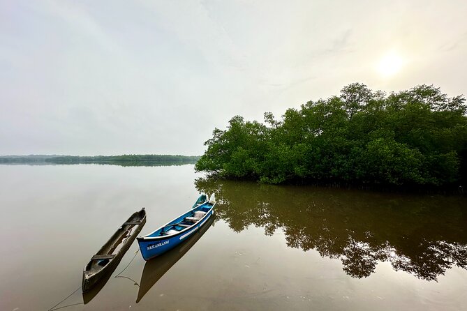Divar Island excursion with Local residents on Nature and Culture - Analyzing the Value