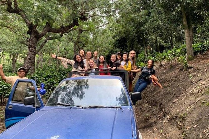 Tour Rural de Café/ Coffee Tour - An Enriching Itinerary