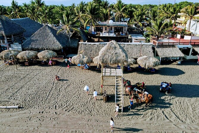 Monterrico Hawaii Beach with Day Pass from Antigua Guatemala. - Experience the Best of Monterrico: A Detailed Review of the Day Trip from Antigua
