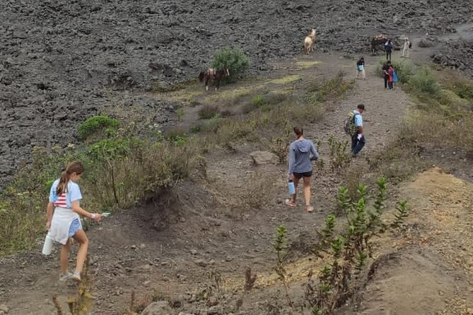 Pacaya Volcano Excursion from Guatemala City - Final Thoughts on the Pacaya Volcano Tour