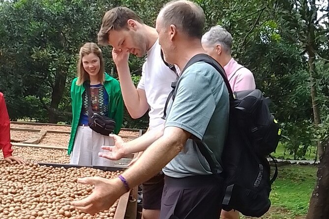 Coffee & Macadamia Fincas Tour - Key Points