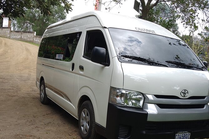 Coffee & Macadamia Fincas Tour - A Detailed Look at the Coffee & Macadamia Fincas Tour