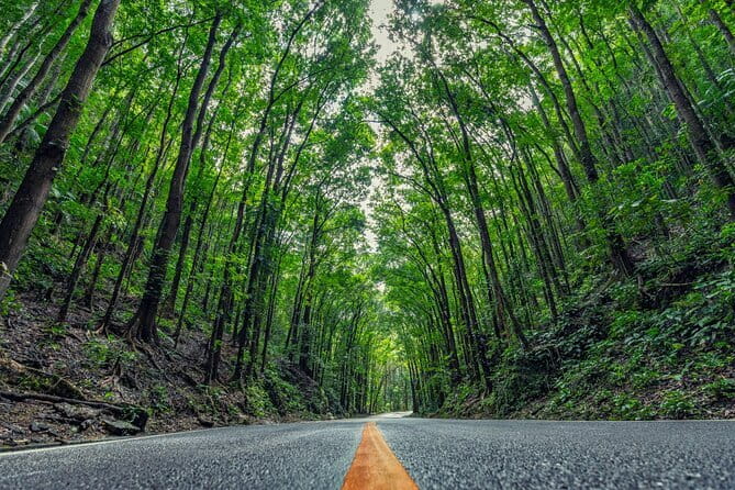 Bohol Country Side Tour - Private w/ Lunch - Why This Tour Offers Great Value