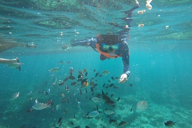 Cebu: Oslob Whale Sharks, Tumalog Falls and Sardines Snorkeling - Final Thoughts