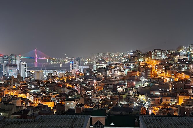 Best Busan night views : Mountain observatory streets - A Closer Look at the Tour Experience