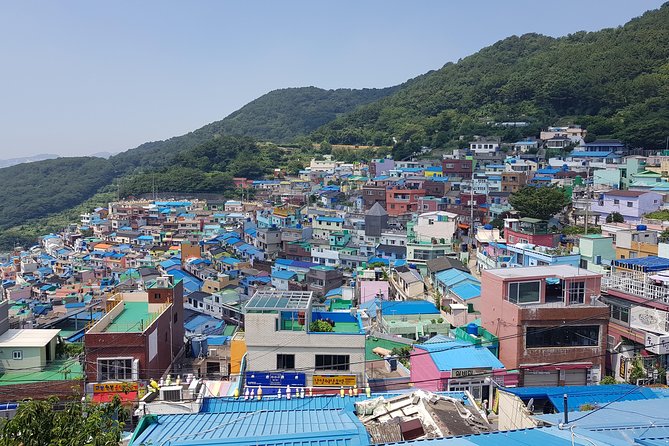 Busan Tour with Gamcheon Culture Village - A Deep Dive into the Busan Tour Experience