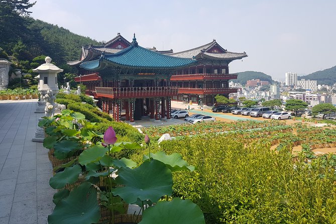 Busan Tour with Gamcheon Culture Village - Summary