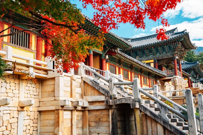 From Busan to Gyeongju UNESCO Legacy Tour with National Museum - The Full Experience: What Youll Actually Do