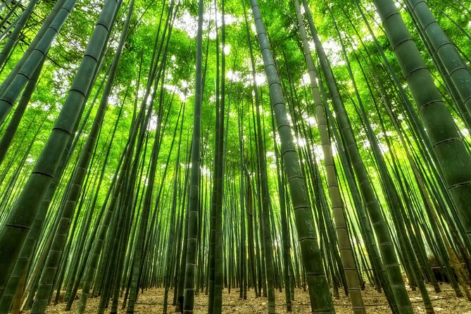 From Busan to Gyeongju UNESCO Legacy Tour with National Museum - Frequently Asked Questions