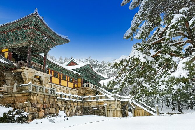 From Busan to Gyeongju UNESCO Legacy Tour with National Museum - An honest look at a highly-rated day trip from Busan to Gyeongju, packed with UNESCO sites, traditional villages, and fascinating history.  