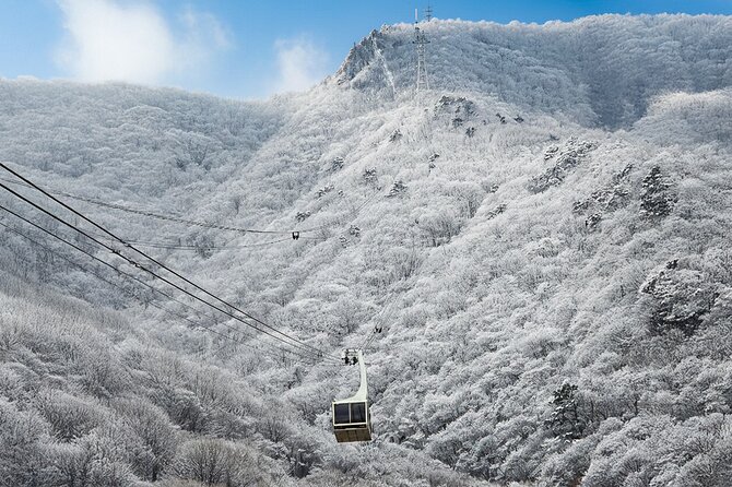 Busan Discovery Tour with Snow and UNESCO Spot - An In-Depth Look at the Busan Discovery Tour