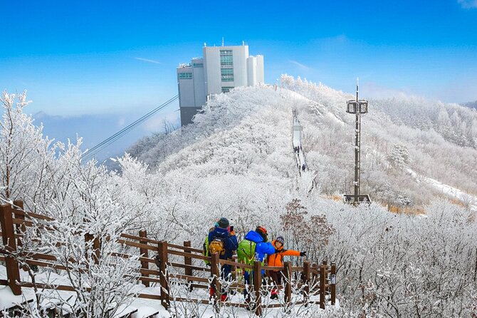 Busan Discovery Tour with Snow and UNESCO Spot - Good To Know