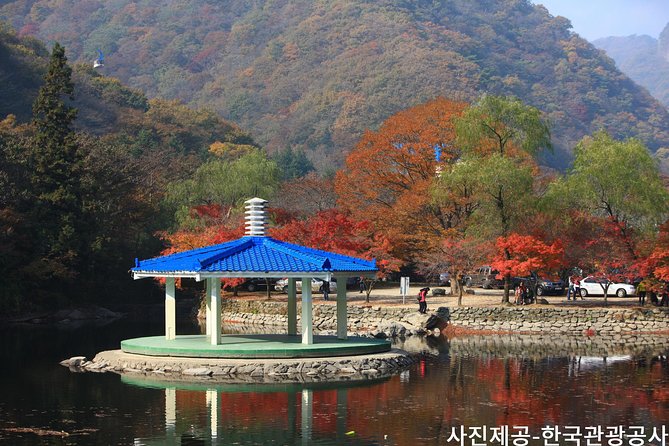 Naejangsan National Park Autumn Foliage One Day Tour from Busan - A Detailed Look at the Naejangsan Autumn Foliage Tour