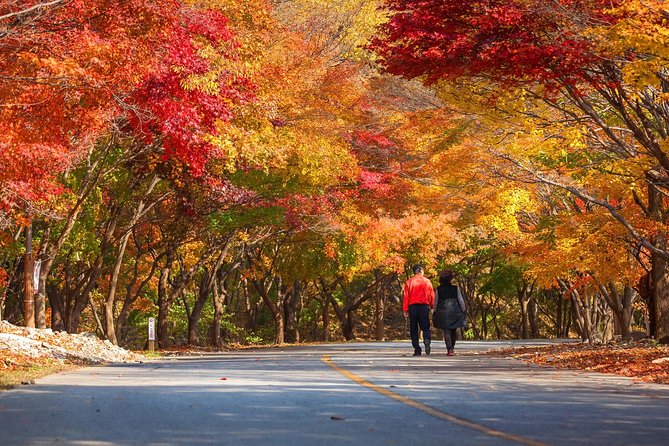 Naejangsan National Park Autumn Foliage One Day Tour from Busan - Frequently Asked Questions