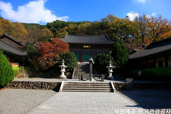 Scenic Jiri Mountain Autumn Foliage One Day Tour from Busan - Value for Money