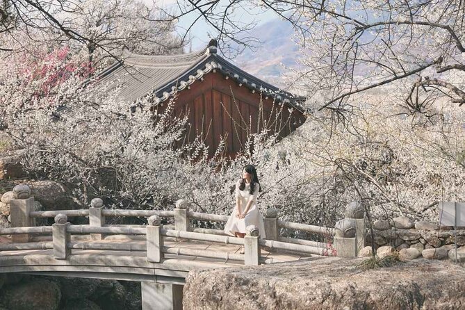 Gwangyang Plum Blossom & Gurye Sansuyu Festival Tour from Busan - Transport, Duration, and Overall Experience