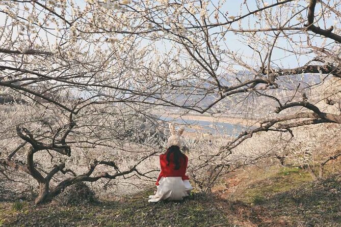 Gwangyang Plum Blossom & Gurye Sansuyu Festival Tour from Busan - Frequently Asked Questions