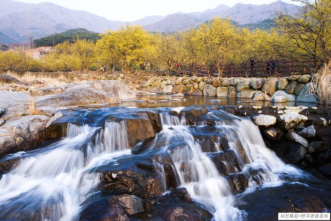 Gwangyang Plum Blossom & Gurye Sansuyu Festival Tour from Busan - Value and Tips for Travelers