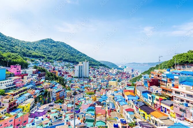 Busan Hidden Gems Beaches and Local Food Private Tour - Good To Know