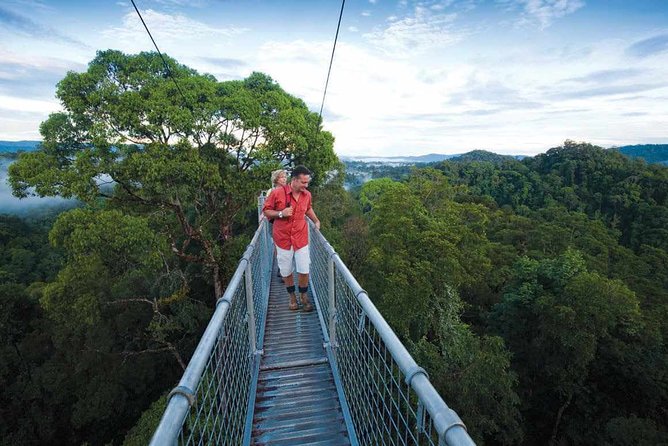 Full Day Trip of Brunei Ulu Temburong National Park including Canopy Walk - An In-Depth Look at the Ulu Temburong Full-Day Tour