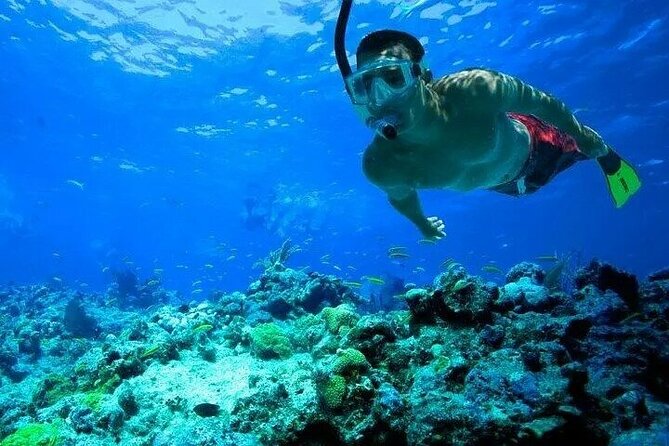 Snorkeling in Port City - Who Will Love This Tour?