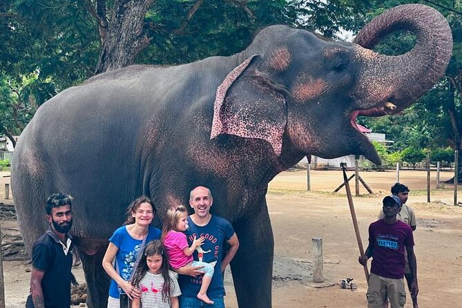 Pinnawala and Kandy Day Tour from Colombo or Negombo - Good To Know