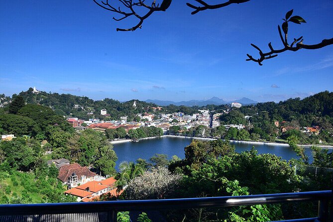 Pinnawala and Kandy Day Tour from Colombo or Negombo - Why This Tour Works