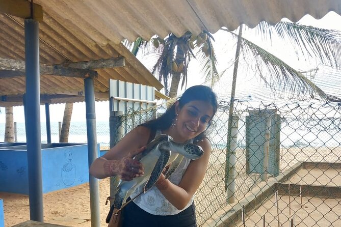 Sri Lanka Car and Driver Hire - Authentic Experiences and Real Insights from Travelers