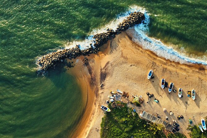 Sri Lanka 5 Day tour Best Nature and Culture include top hotels - Final Thoughts: Who Will Love This Tour?