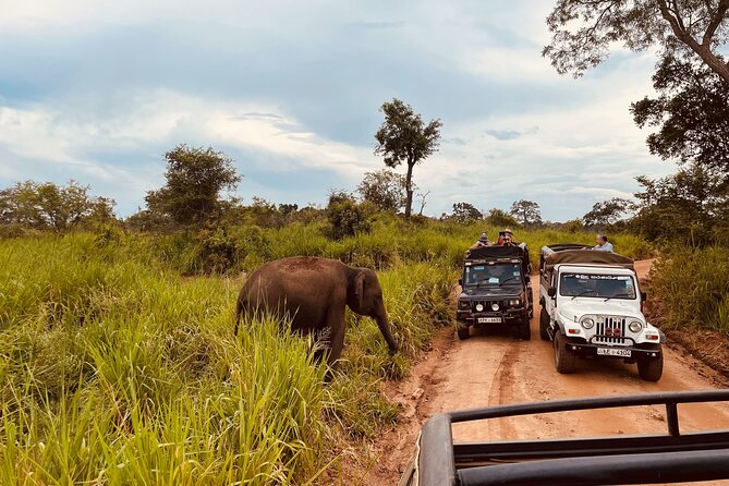8 Day Guided Sri Lanka Cultural Heritage Tour - Exploring the Heart of Sri Lanka: In-Depth Review