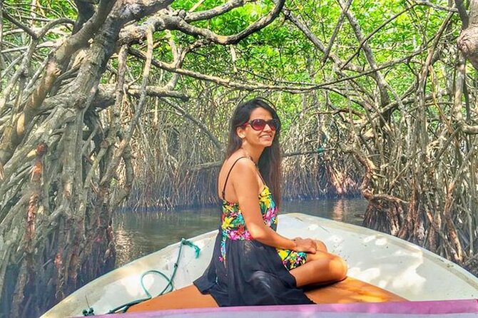 Southtern Sri lanka Day Tour from Colombo , Kaluthara or Bentota - Cost and Value Analysis