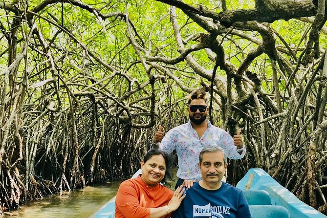 Ultimate 8-Day Sri Lanka Adventure: Private Guided Tour - A Closer Look at the Itinerary