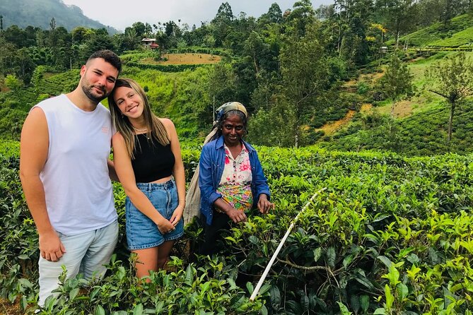 Ultimate 8-Day Sri Lanka Adventure: Private Guided Tour - Introduction: An 8-Day Journey Through Sri Lanka