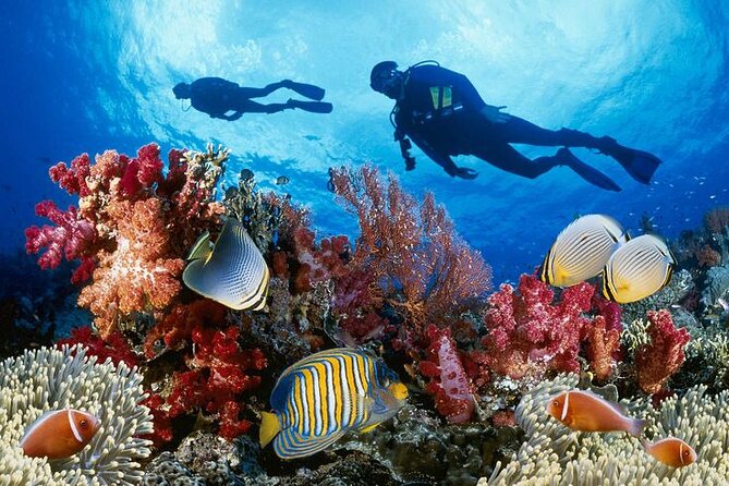 Sri Lankan Luxury Tour Package 14 days - What Travelers Love About This Tour