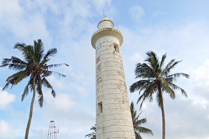 Colombo Day Trip: Galle Fort, Madu River Safari & Turtle Hatchery - Who Is This Tour Best For?