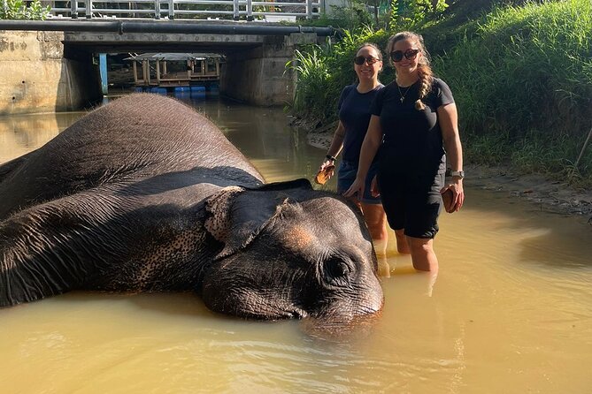10 Days in Paradise Sri Lanka with an Expert Tour Driver - An In-Depth Look at the 10-Day Sri Lanka Tour
