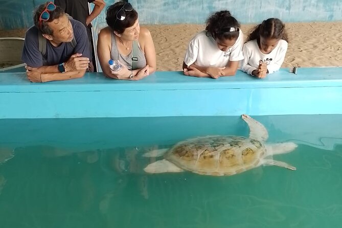 Galle Day Trip from Kalutara - Temples, River Safari & Dutch Fort - FAQ