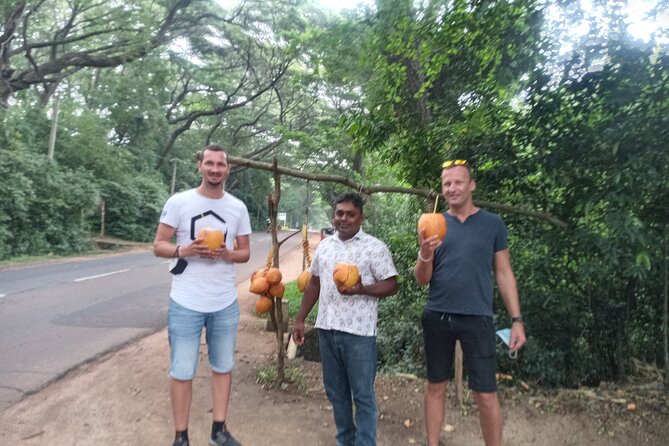 All inclusive Private day trip Sigiriya and Dambulla caves with more - The Sum Up