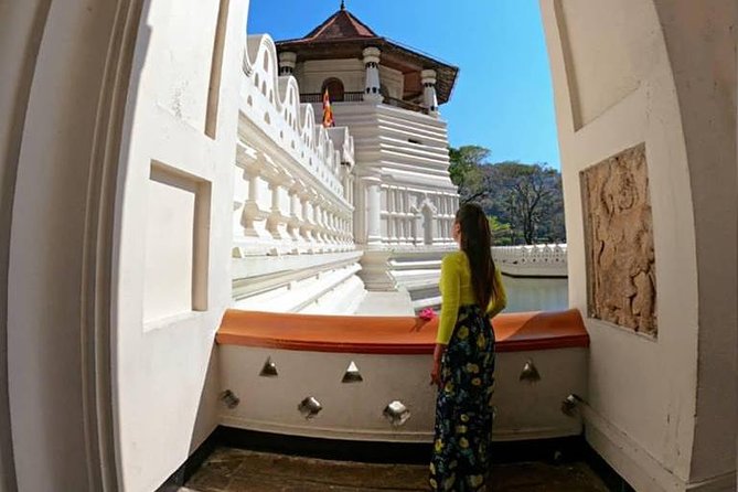 Temple of the Tooth & Royal Botanical Gardens Tour - What We Like About This Tour