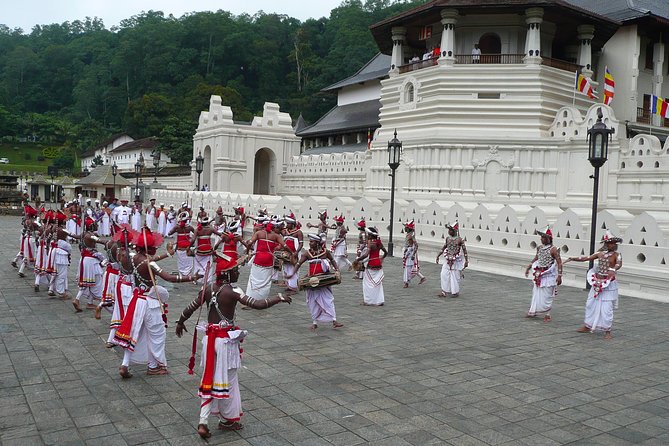 Temple of the Tooth & Royal Botanical Gardens Tour - Key Points